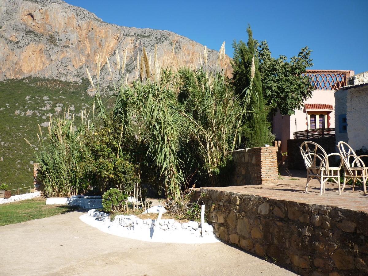 Caiat Lounge Refuge Hostel Taghzoute Εξωτερικό φωτογραφία