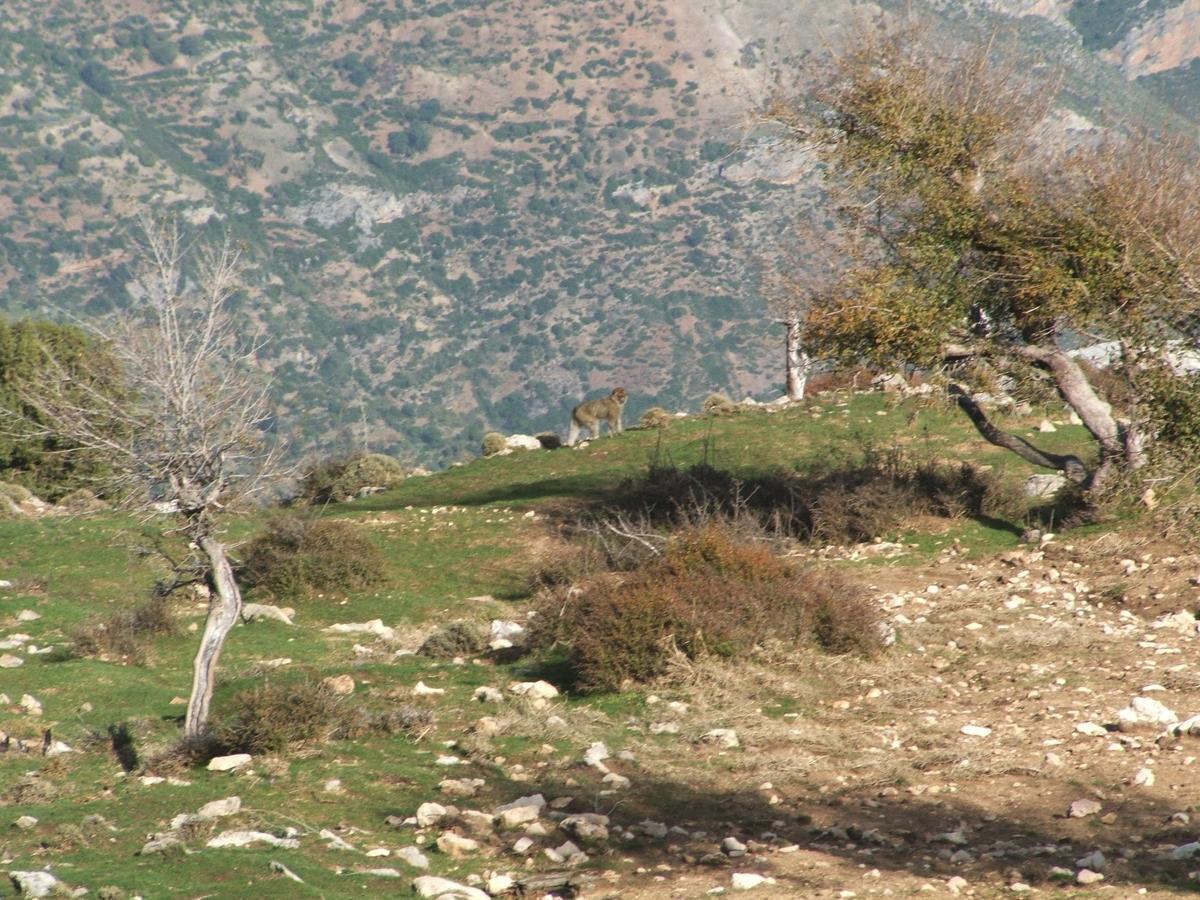 Caiat Lounge Refuge Hostel Taghzoute Εξωτερικό φωτογραφία
