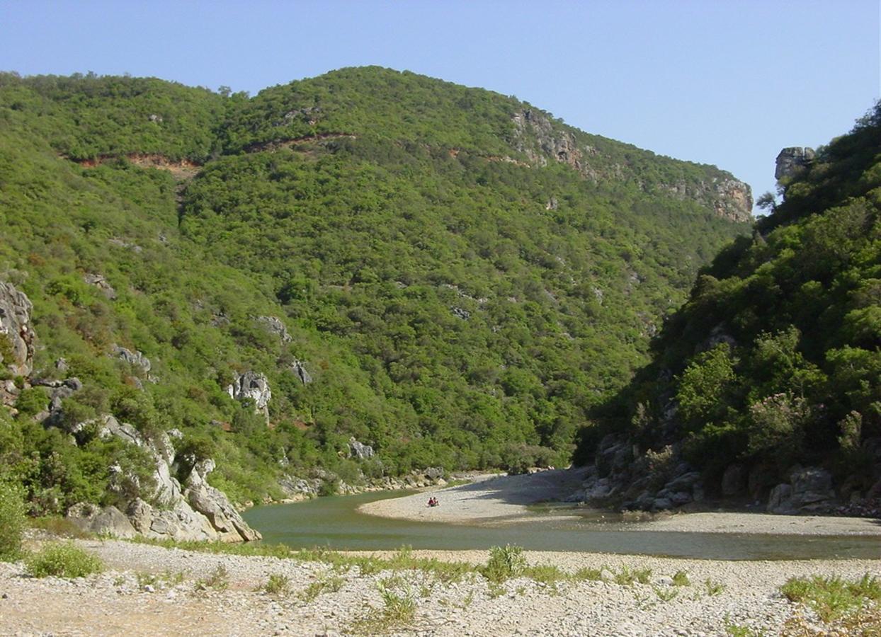 Caiat Lounge Refuge Hostel Taghzoute Εξωτερικό φωτογραφία