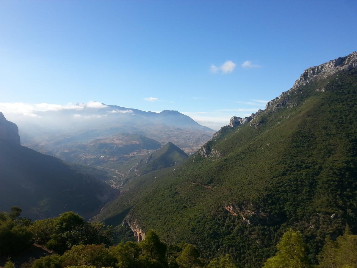 Caiat Lounge Refuge Hostel Taghzoute Εξωτερικό φωτογραφία