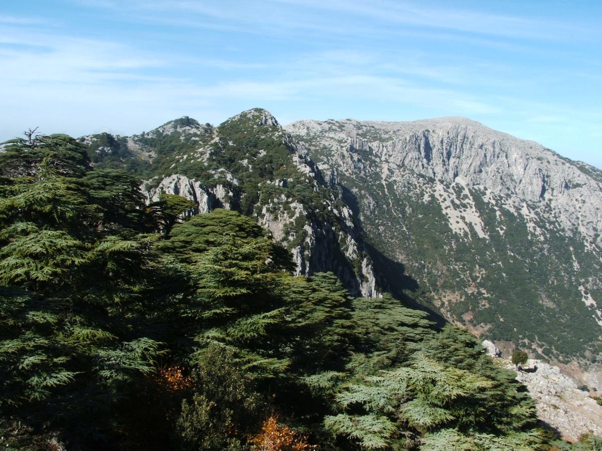 Caiat Lounge Refuge Hostel Taghzoute Εξωτερικό φωτογραφία